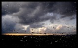 облако,_тьма,_мор